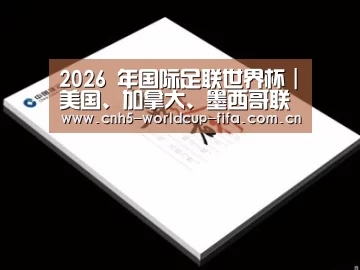 项目名称七