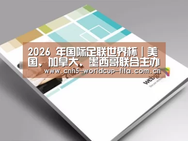 项目名称九