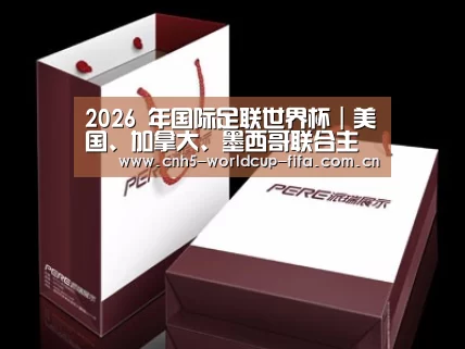 项目名称十二