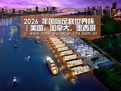 案例展示八