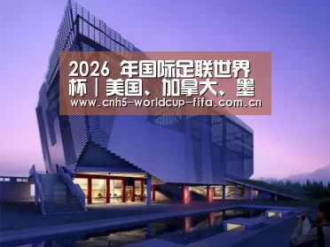 案例展示六