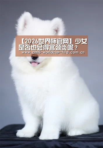 2026世界杯官网